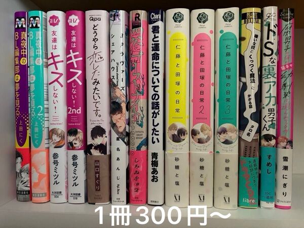 BLコミック/中古/まとめ売り/バラ売り/1冊300円~