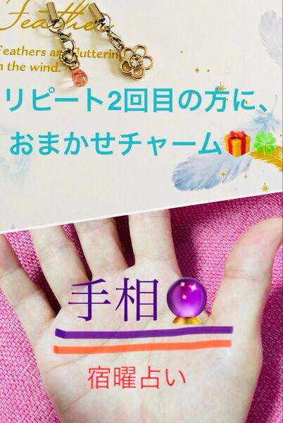 手相+宿曜占い3件orご夫婦相性〔前向きに成れる占い〕