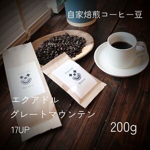 【チョコレートのような甘味】エクアドル グレートマウンテン 17UP 200g