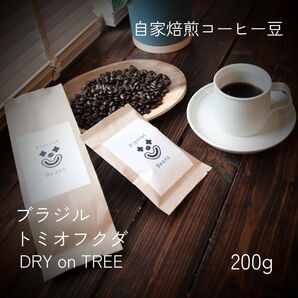 【ナッツフレーバーとカラメルのような甘味とコク】ブラジル トミオフクダ DRY ON TREE 200g