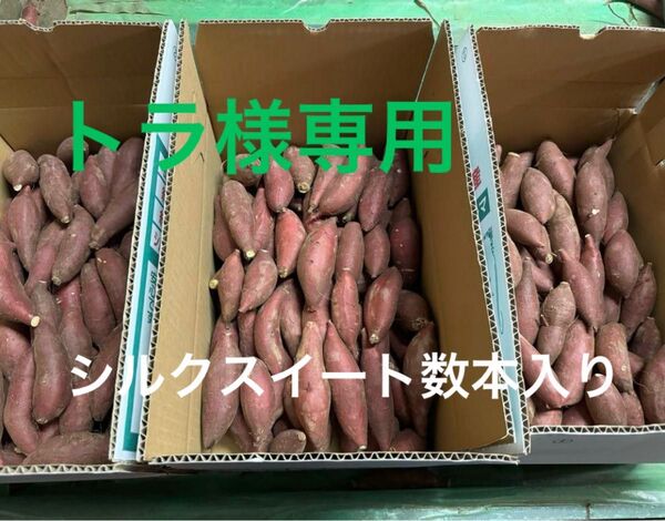 茨城県産 さつまいも 紅はるか 15k