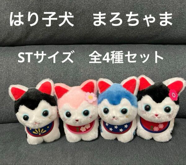 ★新品未使用品★はり子犬まろちゃま ぬいぐるみ STサイズ コンプリート