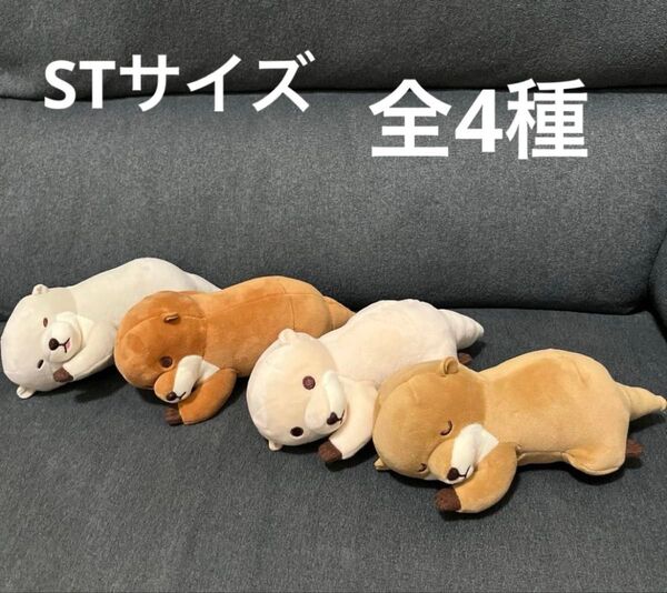 ★新品未使用品★くったりカワウソ もちふわごろりん ぬいぐるみ