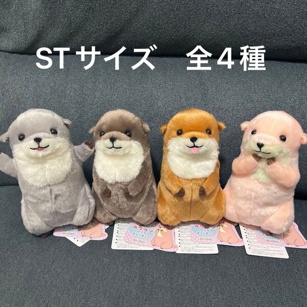 ★新品未使用品★くったりカワウソ たっちキューティー STサイズ全4種セット