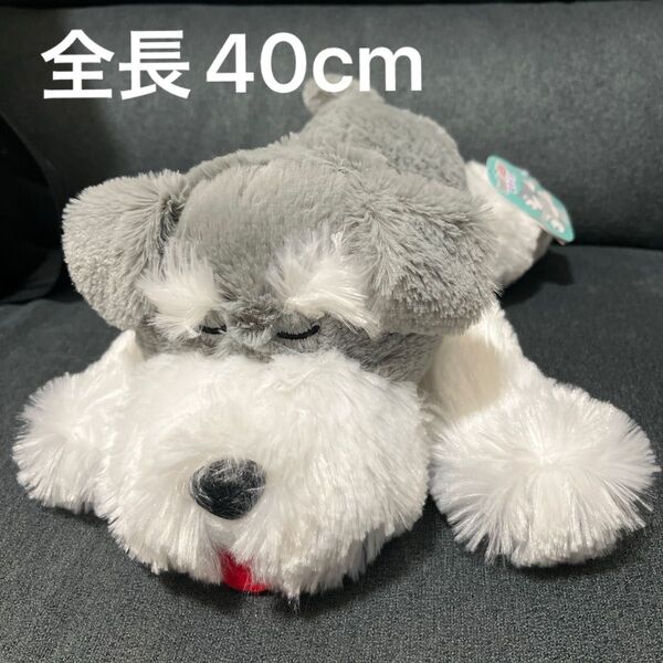 ★新品未使用品★シュナとボブ 寝そべりぬいぐるみ