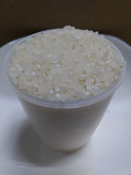 きぬむすめ 1kg 島根県産 令和6年