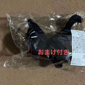 キヨ猫 キヨ キヨ猫ぬいぐるみ THEキヨ猫ぬいぐるみ ぬいぐるみ 東キヨドーム キヨの東キヨドーム おまけ付き