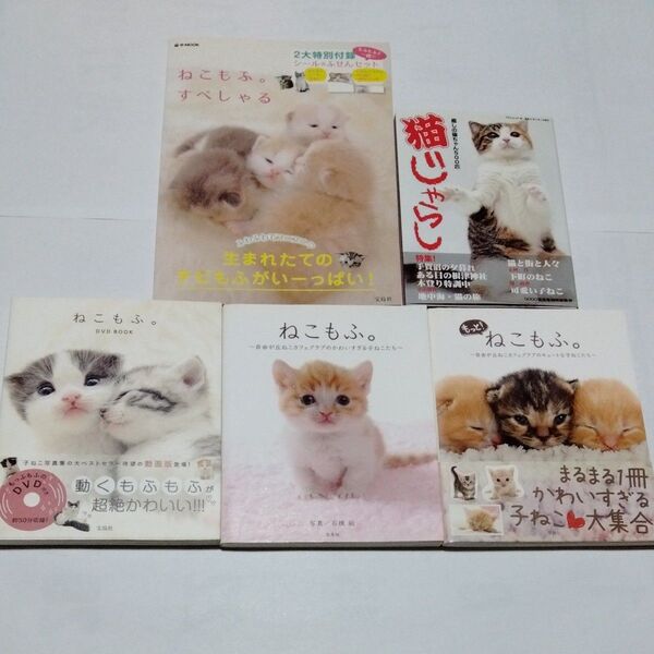 5冊セット 写真集 ねこもふ。もっとねこもふ すぺしゃる 癒しの猫ちゃん500匹 猫じゃらし DVD BOOK/宝島社 特別付録
