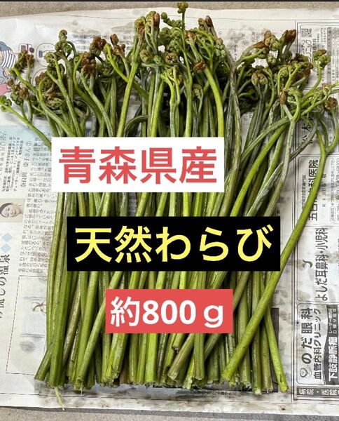 青森県産天然わらび約800g