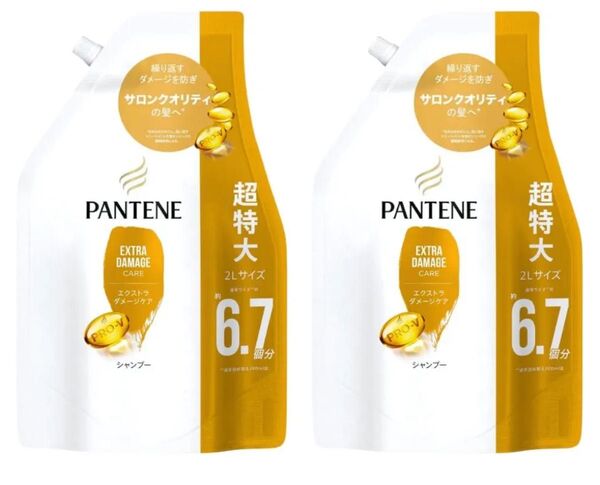 パンテーン エクストラダメージケア シャンプー 超特大 2L×2セット 洗い流す サロンクオリティ