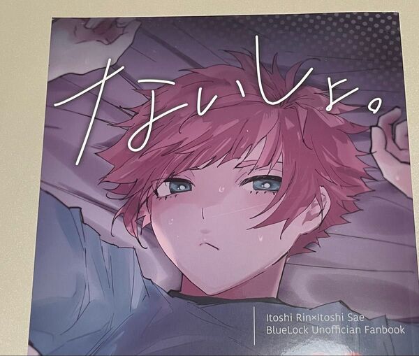 ブルーロック同人誌 糸師凛×糸師冴 凛冴 ないしょ。 にい