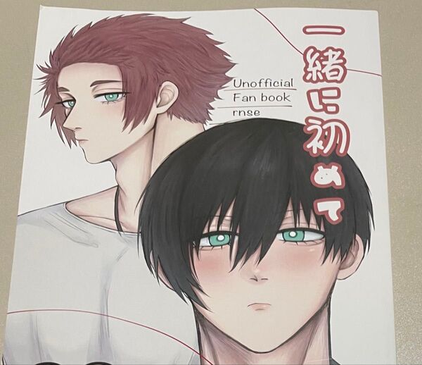 ブルーロック同人誌 糸師凛×糸師冴 凛冴 一緒に初めて ぽち1号