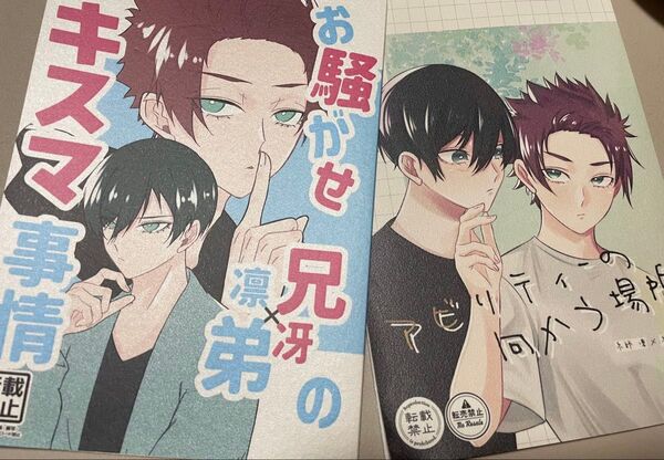 ブルーロック同人誌 糸師凛×糸師冴 凛冴 お騒がせ兄弟のキスマ事情 アビリティの向かう場所 微風