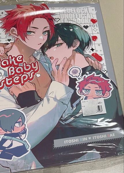 ブルーロック同人誌 糸師凛×糸師冴 凛冴 Take Baby steps kona