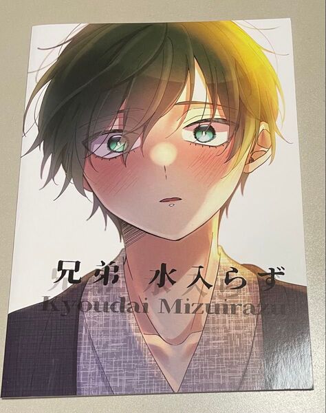 ブルーロック同人誌 糸師凛×糸師冴 凛冴 兄弟、水入らず ぴんた