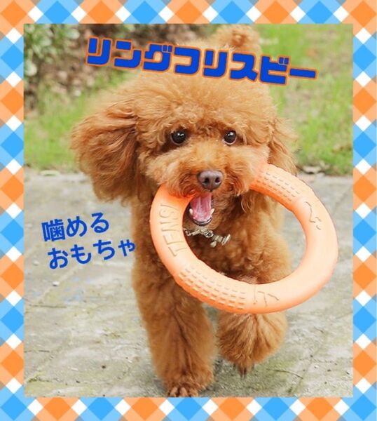 犬用 フリスビー オレンジ 噛めるおもちゃ ストレス発散 運動 スキンシップ 運動不足解消 遊び 犬 おもちゃ カミカミ