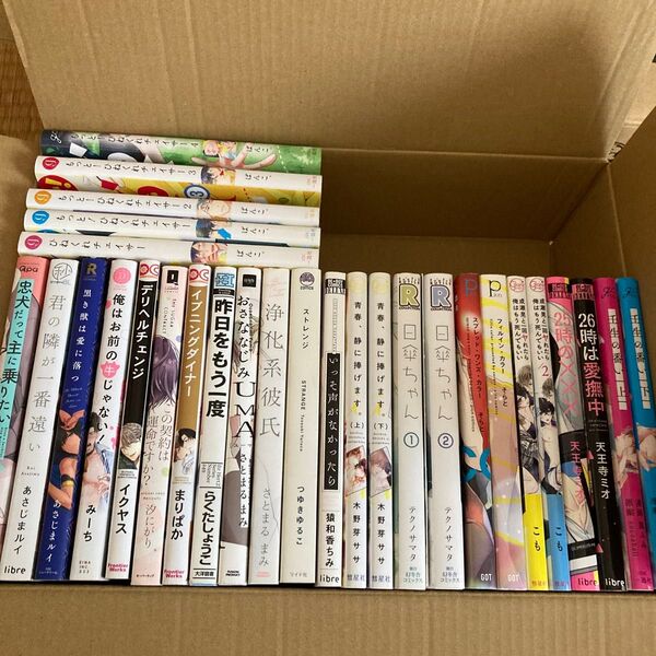 29冊 BLコミック まとめ売り