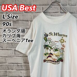レア90sスーベニア Tee★オランダ領カリブ海 セントマーティン イルカ アイランド アメリカ USA 古着