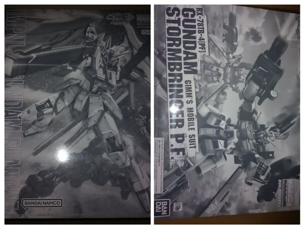 2点組! 新品未開封! プレミアムバンダイ限定 MG インパルス ガンダム ブランシュ & MG ストームブリンガー PF