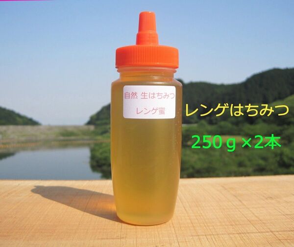 国産蜂蜜 レンゲ蜜250g×2本