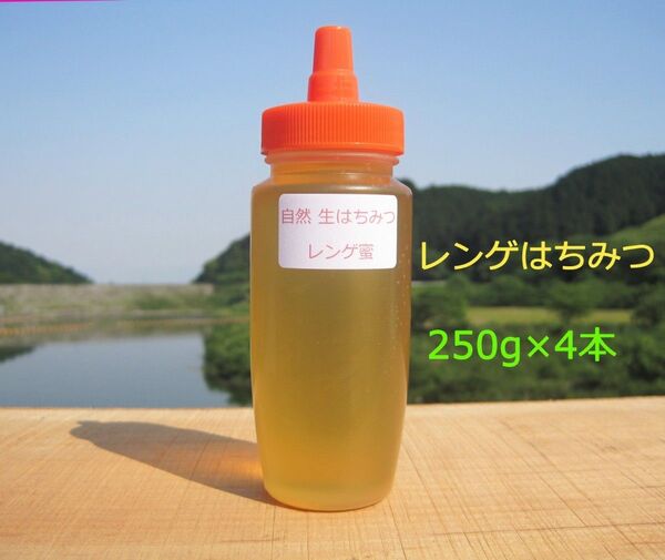 国産蜂蜜レンゲ蜜250g×4本
