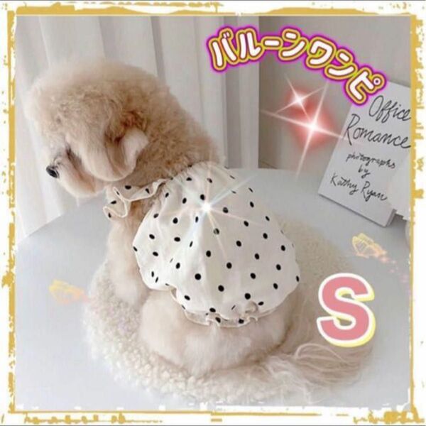 ペット服 ワンピース ドット フリル オフホワイト バルーン 犬服 猫服 S ペット フリル袖 キャミソール