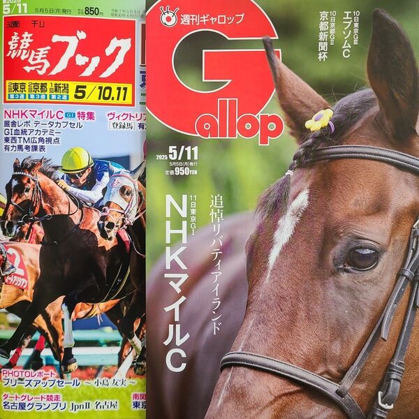 匿名!送料無料!競馬、ギャロップ、ブック、2025年5月11日