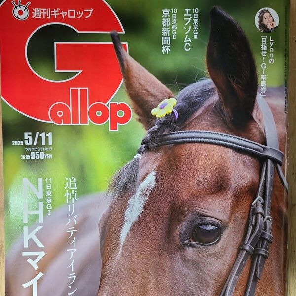 匿名!送料無料!競馬、ギャロップ2025年5月11日