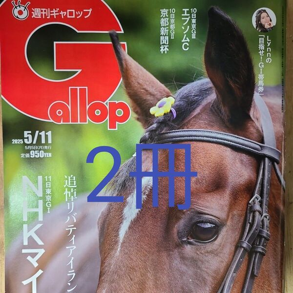匿名!送料無料!競馬、ギャロップ2025年5月11日 2冊