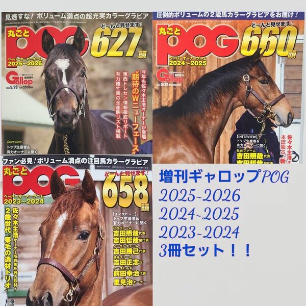 匿名!送料無料!POG2025~20262024~2025 2023~2024 3冊セット!!