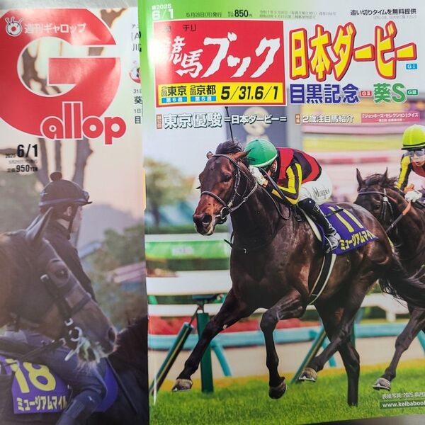 匿名!送料無料!競馬、ギャロップ、ブック2025年6月1日 2つセット