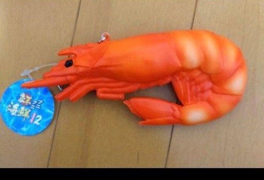 海老 スクイーズ 豪華海鮮プニプニキーホルダー
