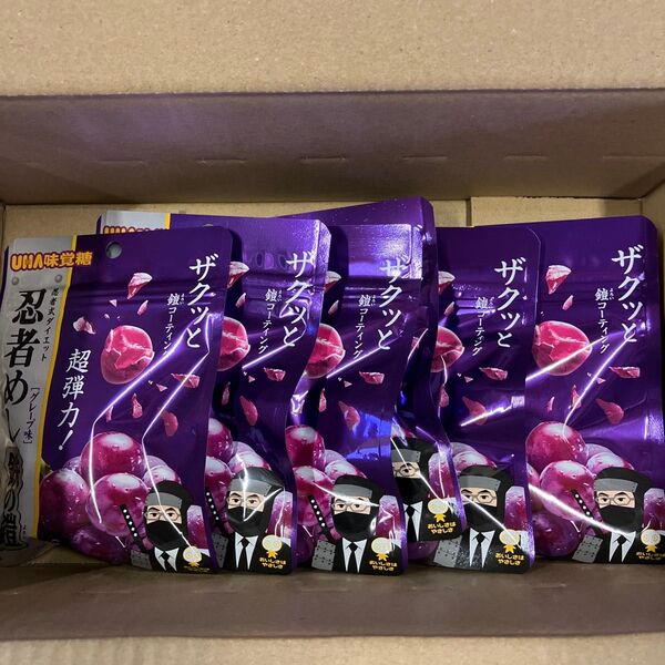 UHA味覚糖 忍者めし 鉄の鎧 グレープ味 40g 6袋セット