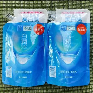 ロート製薬 肌ラボ 白潤 薬用美白化粧水 つめかえ 170ml ×2個