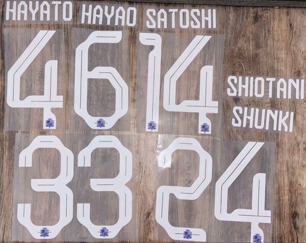 サンフレッチェ広島 24/25 マーキングセット