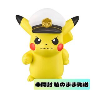 ポケットモンスター ポケモンキッズ ロイと旅の仲間たち編 キャプテンピカチュウ