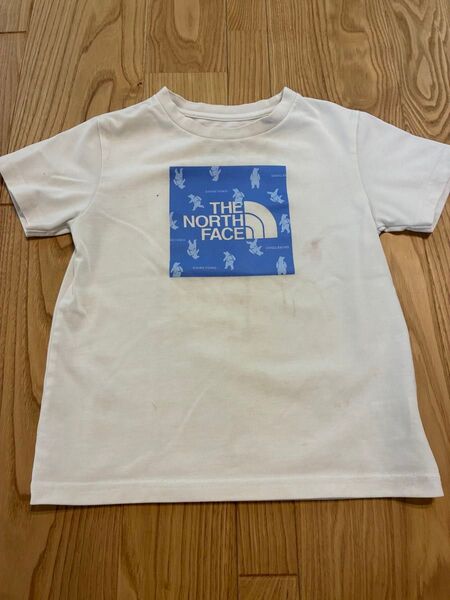 知床 ノースフェイス THE NORTH FACE 半袖 Tシャツ
