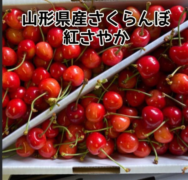 山形県産さくらんぼ 紅さやか 秀品1kg