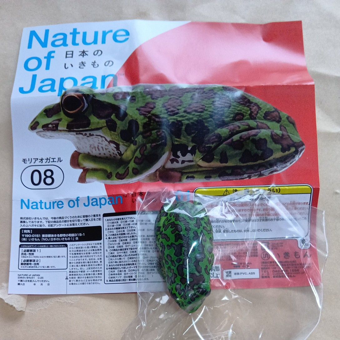 ネイチャーテクニカラー　日本のいきもの　モリアオガエル　ガチャ