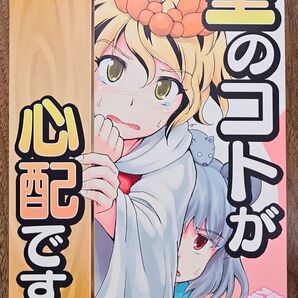 聖のコトが心配です。 / ふぇっちー / アビオン村F / 東方Project / 同人誌