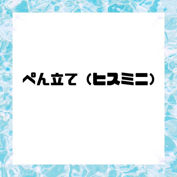 アクリル ペン立て ヒス