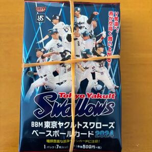 BBM2024東京ヤクルトスワローズ未開封15パック