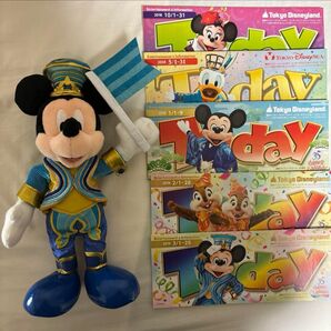 ディズニーランド 35周年 ミッキー ポージープラッシー ぬいぐるみ Disney