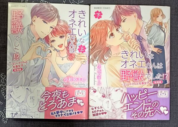 きれいなオネエさんは野獣でした!? 【新婚編】