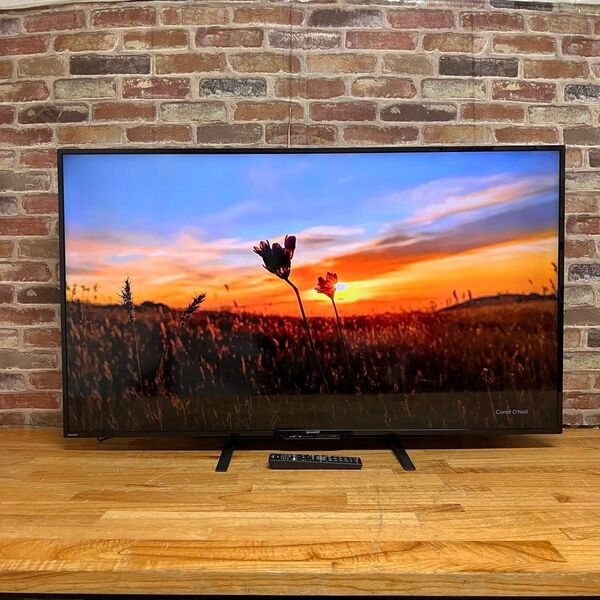シャープ 50インチ 4K 液晶テレビ 4T-B50AKL AQUOS 外付けHDD 2番組同時録画対応 2019年製