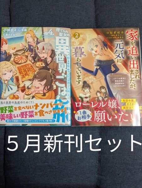 捨てられ聖女の異世界ごはん旅 4 家を追い出されましたが、元気に暮らしています 2