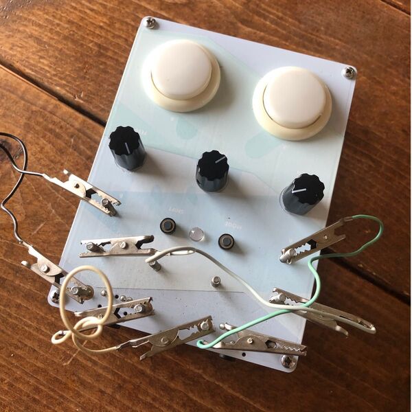 Bleep labs THE DELAYDELUS ジャンク ディレイ サンプラー