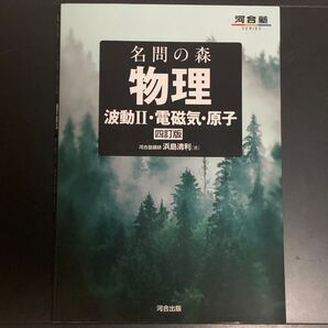 名問の森物理波動II・電磁気・原子四訂版