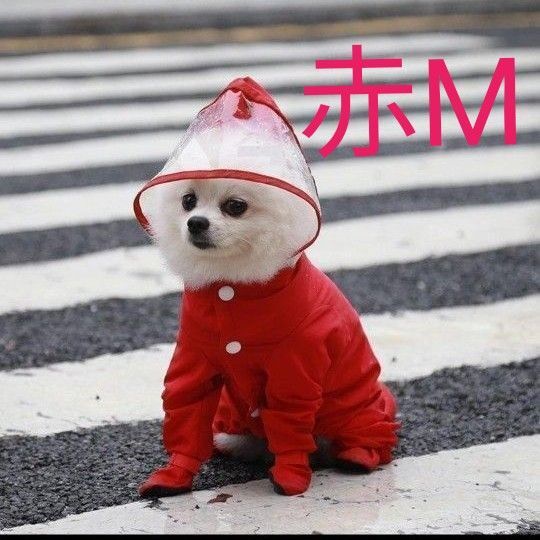犬 犬服 レインコート 足カバーカッパ 梅雨 ペット用品 レインウェア ドッグ ドッグウェア 梅雨対策 梅雨 雨具 赤 レッド М