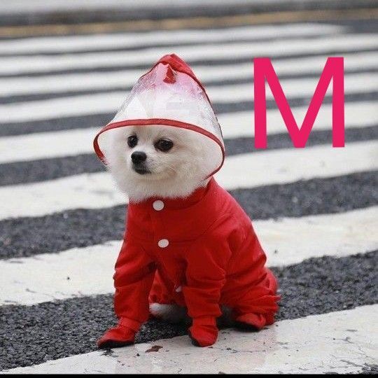赤 レッド 黒 ブラック 犬 犬服 レインコート 足カバー カッパ ペット用 レインウェア М 犬用 雨具 雨対策 しっぽカバー
